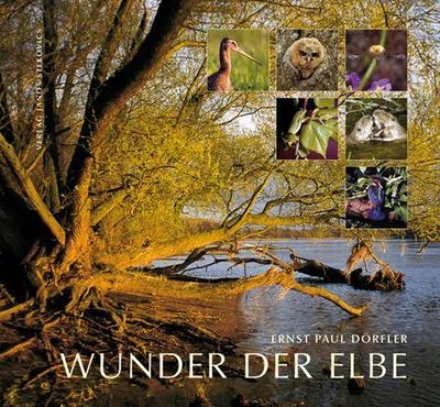 Wunder der Elbe