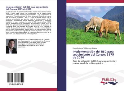 Implementación del BSC para seguimiento del Conpes 3675 de 2010