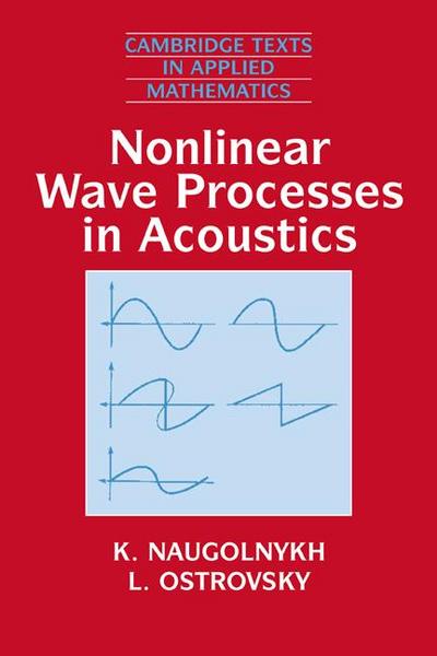 Nonlinear Wave Processes in Acoustics