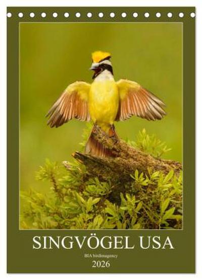 Singvögel USA (Tischkalender 2026 DIN A5 hoch), CALVENDO Monatskalender