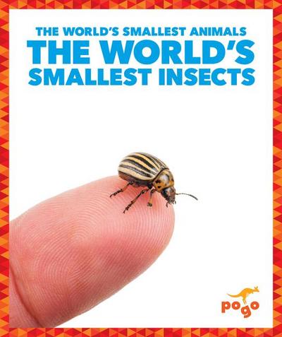 The World’s Smallest Insects