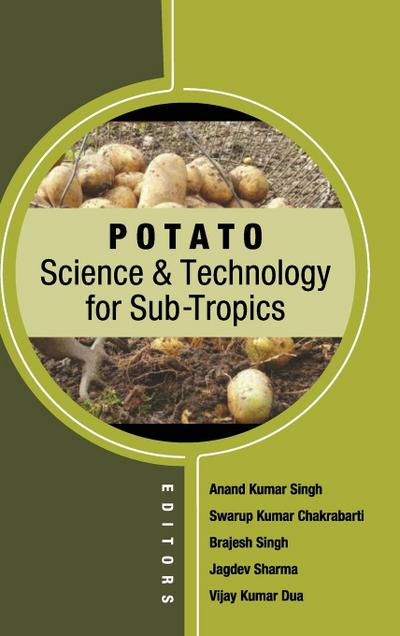 Potato