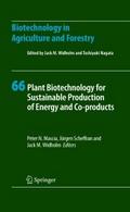 Plant Biotechnology for Sustainable Production of 