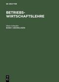 Grundlagen von Dieter Schneider | Ebook