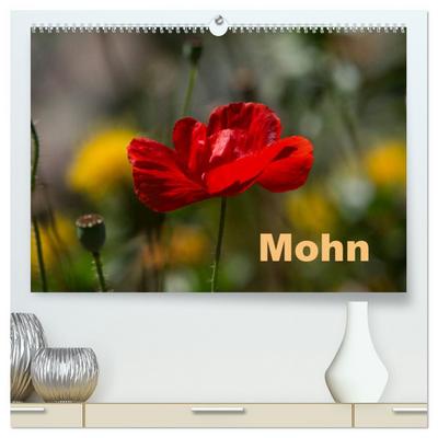 Mohn (hochwertiger Premium Wandkalender 2024 DIN A2 quer), Kunstdruck in Hochglanz