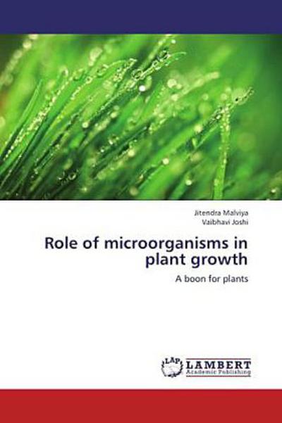 Role of microorganisms in plant growth
