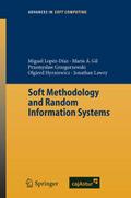 Soft Methodology and Random Information Systems