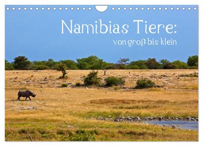 Namibias Tiere: von groß bis klein (Wandkalender 2024 DIN A4 quer), CALVENDO Monatskalender