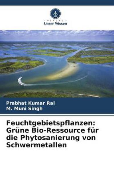 Feuchtgebietspflanzen: Grüne Bio-Ressource für die Phytosanierung von Schwermetallen