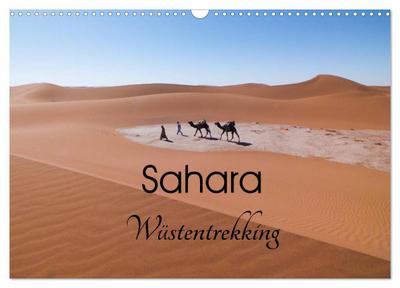 Sahara Wüstentrekking (Wandkalender 2024 DIN A3 quer), CALVENDO Monatskalender