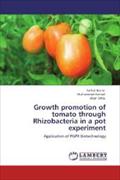 Growth promotion of tomato through Rhizobacteria in a pot experiment