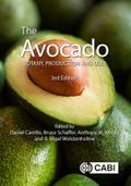 The Avocado