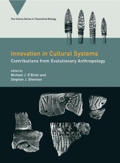 Innovation in Cultural Systems