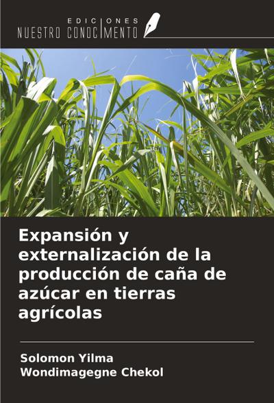 Expansión y externalización de la producción de caña de azúcar en tierras agrícolas