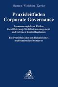 Praxisleitfaden Corporate Governance: Zusammenspiel von Risikoidentifizierung, Richtlinienmanagement und Internem Kontrollsystem