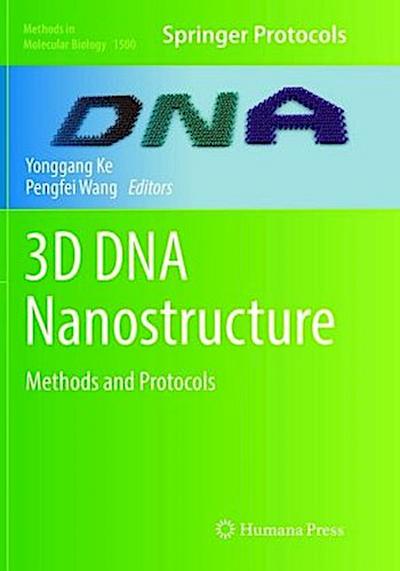 3D DNA Nanostructure
