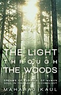 The Light Through the Woods
