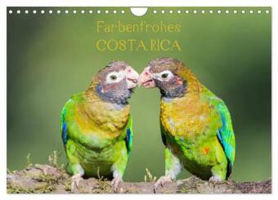 Farbenfrohes Costa Rica (Wandkalender 2026 DIN A4 quer), CALVENDO Monatskalender