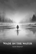 Wade in the Water
