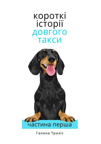 Короткі історії довгого такси