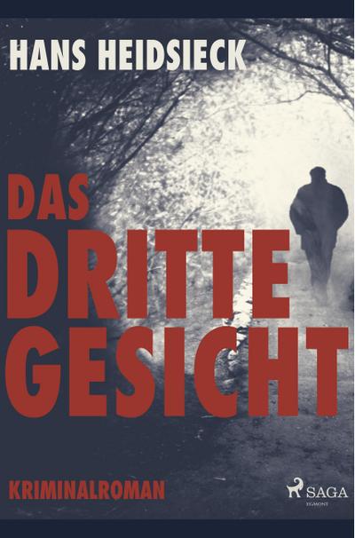 Das dritte Gesicht