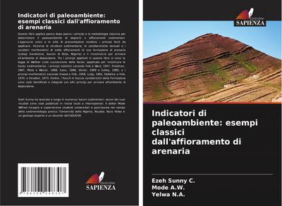 Indicatori di paleoambiente: esempi classici dall’affioramento di arenaria