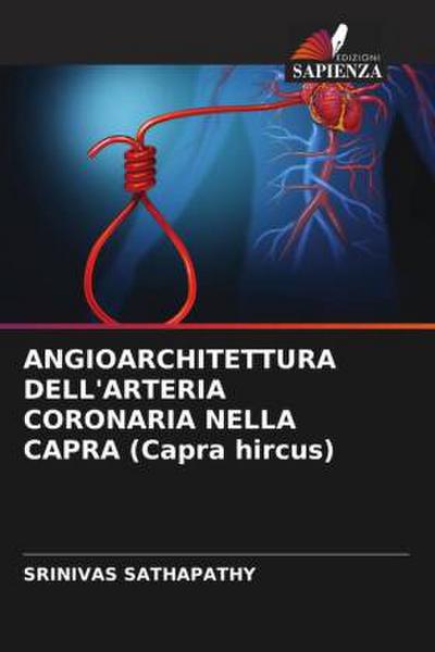 ANGIOARCHITETTURA DELL’ARTERIA CORONARIA NELLA CAPRA (Capra hircus)