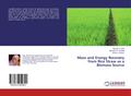 Mass and Energy Recovery from Rice Straw as a Biomass Source