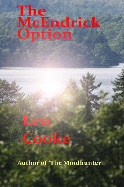 The McEndrick Option (The Kate Hoagan Investigations, #2)