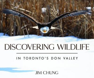 Discovering Wildlife in Toronto’s Don Valley