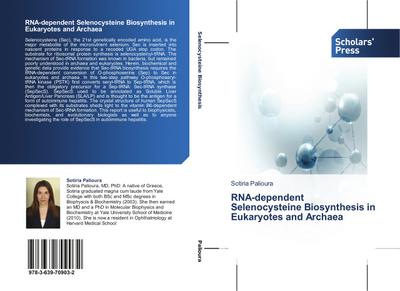 RNA-dependent Selenocysteine Biosynthesis in Eukaryotes and Archaea