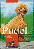 Pudel