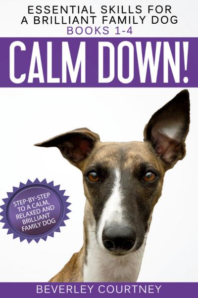 Essential Skills for a Brilliant Family Dog