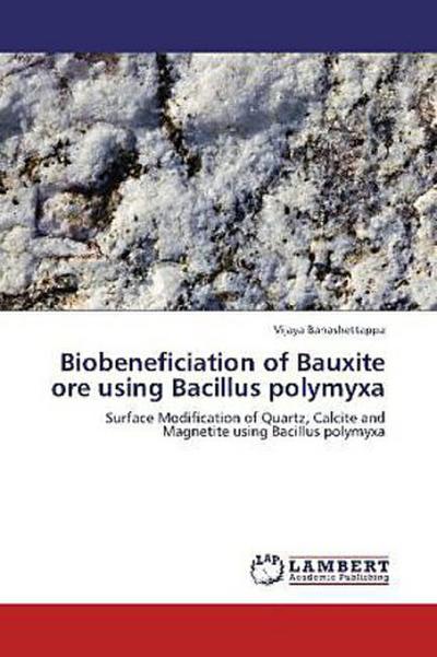 Biobeneficiation of Bauxite ore using Bacillus polymyxa