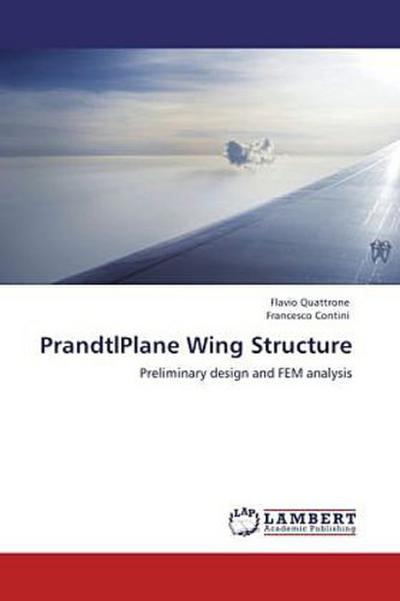 PrandtlPlane Wing Structure