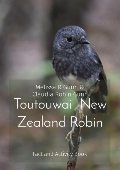 Toutouwai  New Zealand Robin