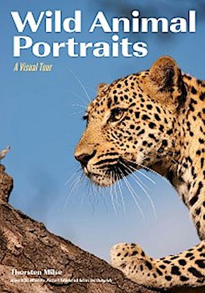Wild Animal Portraits