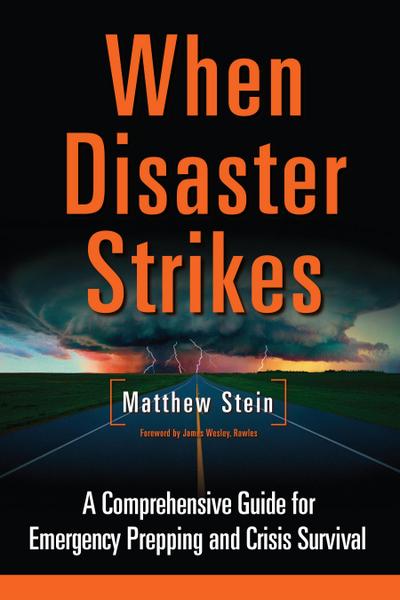 Stein, M: WHEN DISASTER STRIKES