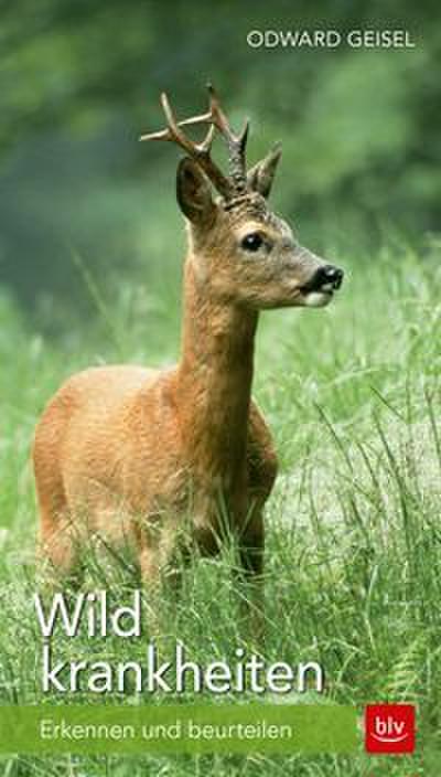 Wildkrankheiten