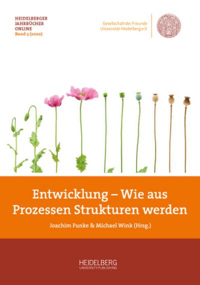 Entwicklung - Wie aus Prozessen Strukturen werden