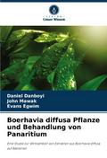 Boerhavia diffusa Pflanze und Behandlung von Panar