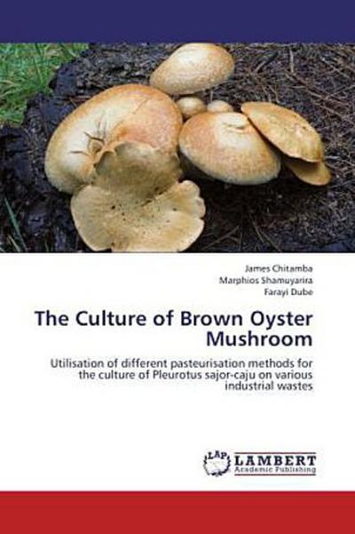 The Culture of Brown Oyster Mushroom