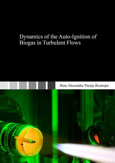 Dynamics of the Auto-Ignition of Biogas in Turbulent Flows