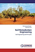 Soil Remediation Engineering