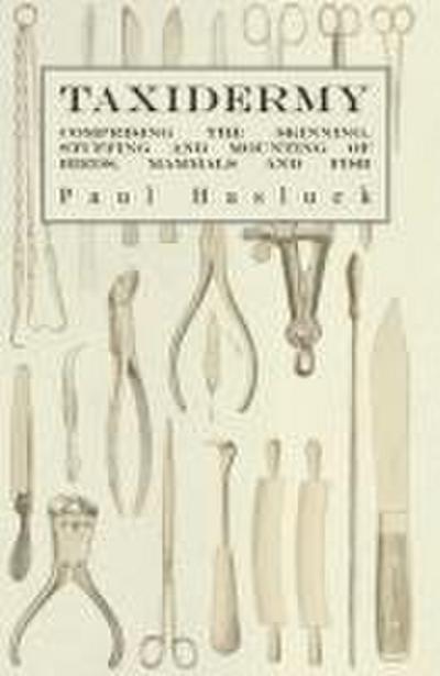 Taxidermy
