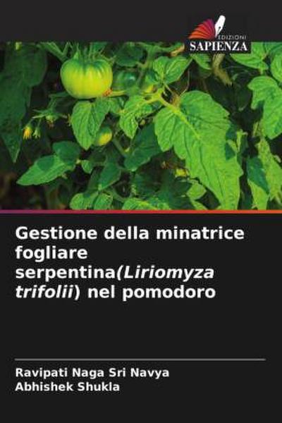 Gestione della minatrice fogliare serpentina(Liriomyza trifolii) nel pomodoro