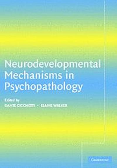 Neurodevelopmental Mechanisms in             Psychopathology