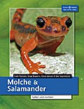 Molche & Salamander halten und züchten