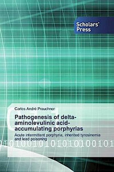 Pathogenesis of delta-aminolevulinic acid-accumulating porphyrias