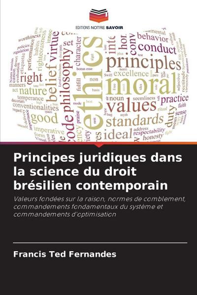 Principes juridiques dans la science du droit brésilien contemporain